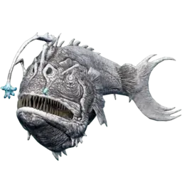 Baudroie