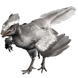 Archaeopteryx