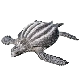 Archelon