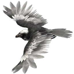Argentavis