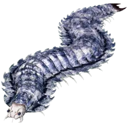 Arthropluera