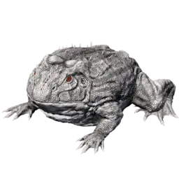 Beelzebufo