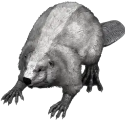 Castoroides