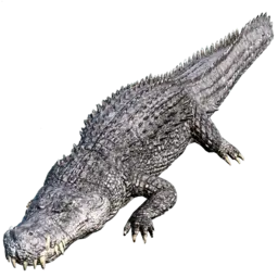 Deinosuchus