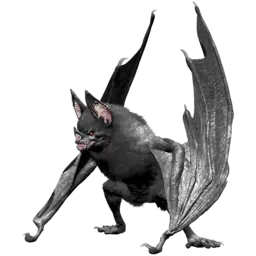 Desmodus