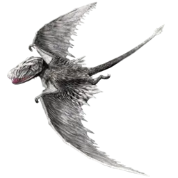 Dimorphodon