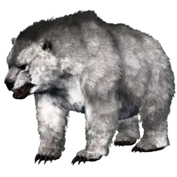 Ours