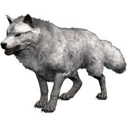 Loup sinistre