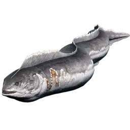 Electrophorus