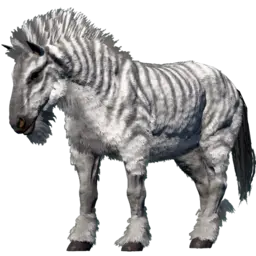 Equus