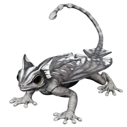 Gecko luisant