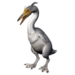 Hesperornis