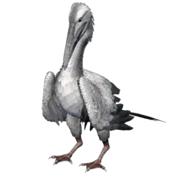Ichthyornis