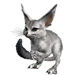 Jerboa