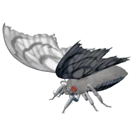 Lymantria