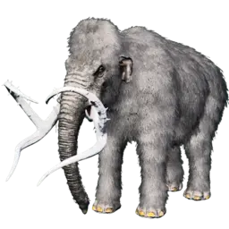 Mammouth