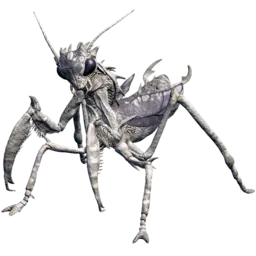 Mantis