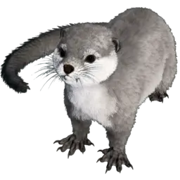 Loutre