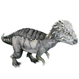 Pachycéphalosaure