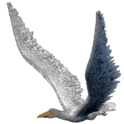 Pelagornis