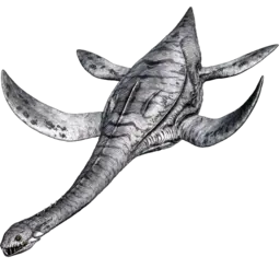 Plésiosaure