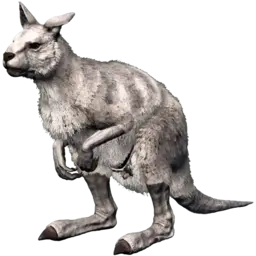 Procoptodon