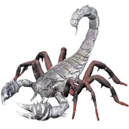 Pulmonoscorpius