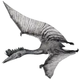 Quetzal