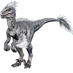 Raptor