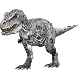 Rex