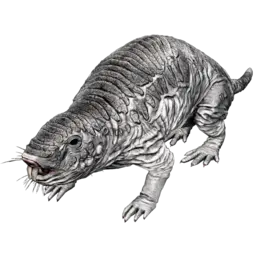 Roll Rat