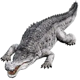 Sarcosuchus