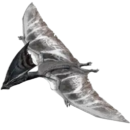 Tapejara