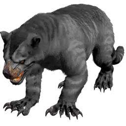 Thylacoleo