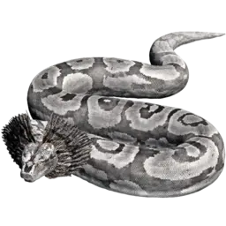 Titanoboa