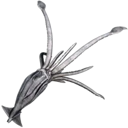Tusoteuthis