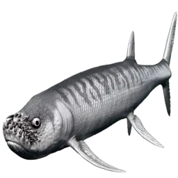 Xiphactinus